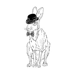 Forest hare wear bowler hat, tie bow, monocle. Bunny dressed up in vintage style. Realistic hand drawn vector illustration isolated on white.
