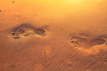 Fototapeta na wymiar footprints in the sand on the beach at sunset