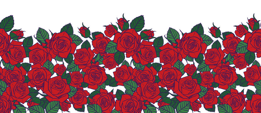 Vector red roses and leaves with purple outlines with white background horizontal border pattern. Great for greeting cards and romantic posters.