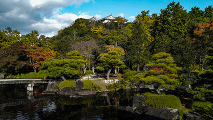 Fototapeta na wymiar Hyōgo Prefecture/Japan-November 14 2019 : Spectacular view of the changing color trees in Koko-en Japanese garden 