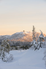 winter mountain landscape with trees and snow