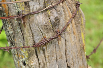 Wire and Fence Post