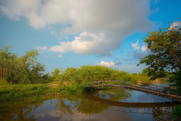 Fototapeta premium A small wooden bridge over the river