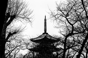 View of Kan ei ji original five-storied pagoda in Ueno park, Tokyo, Japan in Black and white color
