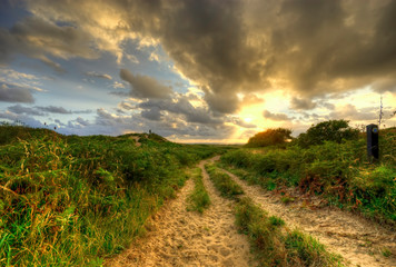 Naklejka premium path to the sea 