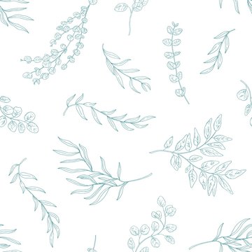 Eucalyptus leaves seamless pattern. Hand drawn plant branches and twigs. Flora, realistic foliage texture. Floral textile monochrome print. Botanical wallpaper, fabric, textile vector design.