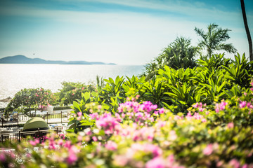 Beautiful landscape of the sea, flowers, palm trees on a summer sunny day.