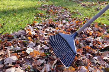 Chores and errands. Symbol of autumn gardening: rakes and leaves.