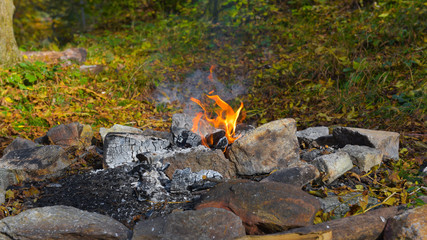 piccolo fuoco acceso nel bosco in autunno