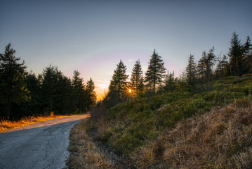 The sun shines through the trees and illuminates the road, Czech, Lysa Mountain