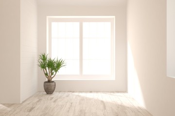 Empty room in white color with home plant. Scandinavian interior design. 3D illustration