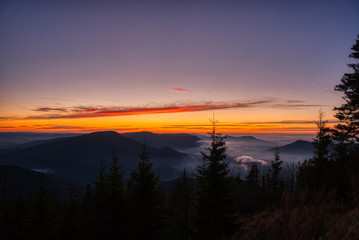 blue hour in karst spruce mountains with fog, czech, beskydy,