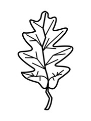 thanksgiving leaf plant autumn icon