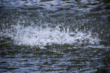 Fototapeta na wymiar A splashing water in the water