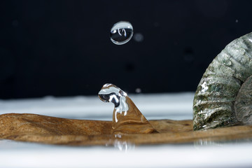 Ammonite is a fossilization of a squid enclosure, photographed here with macro lens in studio