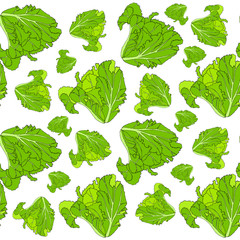 Salad seamless pattern. Green leaves on white art design food design element stock vector illustration for web, for print, for grocery shop, wallpaper, packaging design, product design