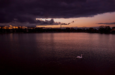 Fototapeta na wymiar Night lake with a swan and the outlines of the city