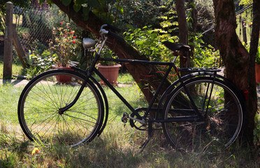 Fahrrad im Garten