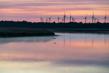 Fototapeta na wymiar Evening sunlight on coast, pink and golden clouds and wind turbine. Sky reflection on water. Wind generator for electricity, alternative energy source. Windmill for electric power production.