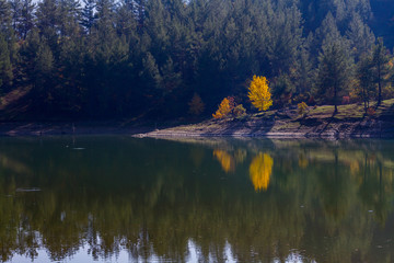 autumn landscape with lake and reflection in water