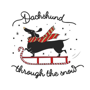 Free Free 348 Dachshund Through The Snow Svg Free SVG PNG EPS DXF File