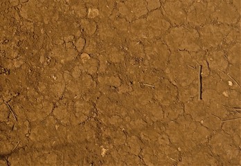 desert ground texture