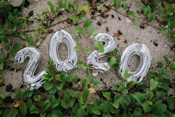 2020 inflatable silver numbers on sand in tropical plants