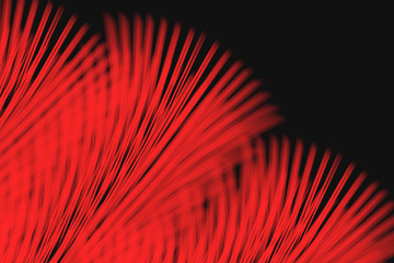 seamless background with red Feathers