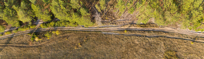 road through the forest, top view