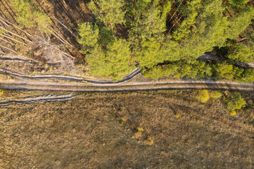 road through the forest, top view