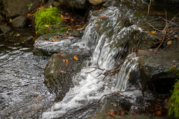 公園を流れる秋の小川　千葉県　日本