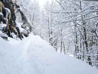 Winter trail in the woods during a snowfall. Mountain landscape with snow.