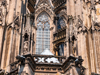 Fototapeta na wymiar Gothic Cathedral Church of Saint Peter in Cologne, Germany on a sunny day. Beautiful cityscape with details of the towers, arches and windows stained glass