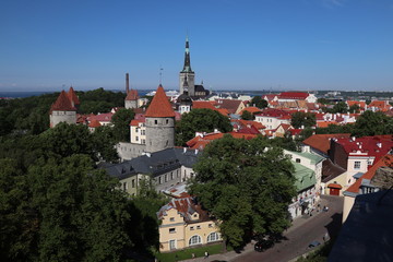 Fototapeta na wymiar view of old town tallinn