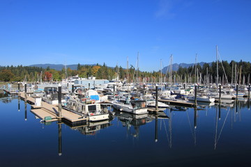 Fototapeta na wymiar boats at dock