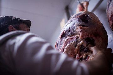 butcher placing the pieces of meat in the cold store
