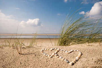 Wonderful dune beach on the North Sea island Langeoog in Germany with sky, clouds, sand, hearts made of sea shells and grass on a beautiful summer day - 303629512
