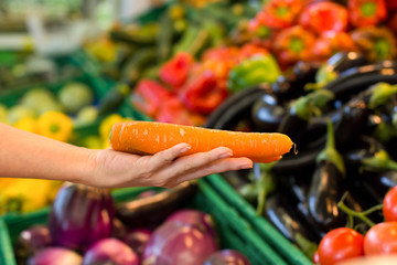 Woman hand choosing carrots at supermarket. Concept of healthy food, bio, vegetarian, diet.