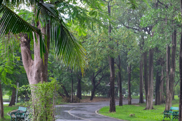 Park after rain in Bangkok, Thailand