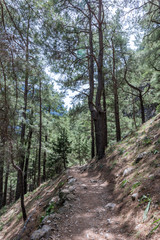 Samaria, gorges de Samaria, Crète