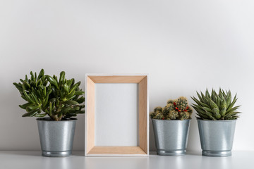 mock up made from photo frame in scandinavian minimalist interior with succulents