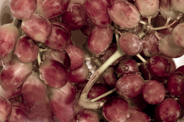 bunches of red grapes, closeup, sweden stockholm, nacka
