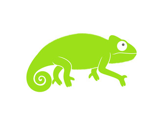 Green chameleon logo. Abstract chameleon on white background