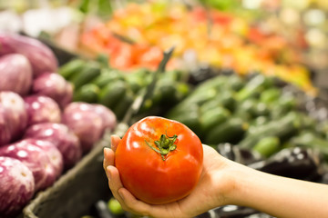 Female hand choosing tomato in supermarket. Concept of healthy food, bio, vegetarian, diet.