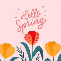 Hello spring words with tulips flowers for print, card, poster. Seasonal spring background template. - 303635764