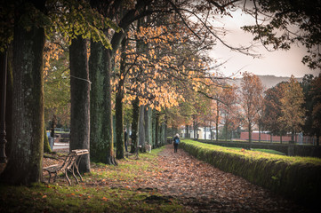 The magic of the autumn in Lucca