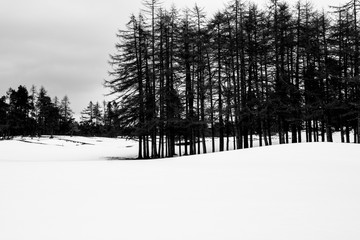 Gleneagles Golf Course in winter