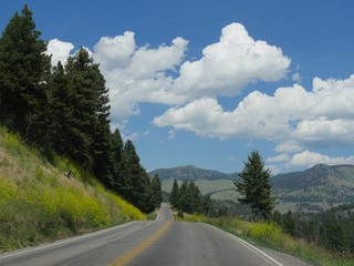 Fototapeta premium Wide shot of a paved road along roling hills and beautiful clouds in the skies at Yellowstone National Park, Wyoming.