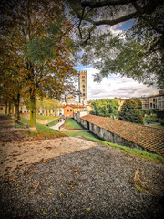 Fototapeta premium The magic of the autumn in Lucca
