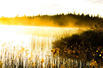 Foggy lake in Canada during sunrise